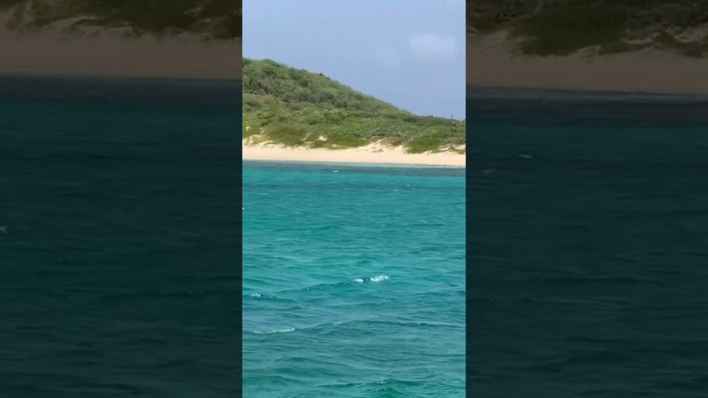 On approach to Savannah Bay Beach, Virgin Gorda, BVI #britishvirginislands #beach #travel #beachlife